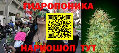 молекула духа Рязань