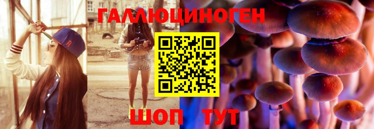 закладки  Псилоцибиновые грибы MAGIC MUSHROOMS  Вход с VPN  Пенза 